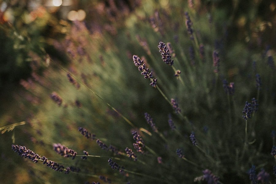 Holz-Schatulle Impression 3