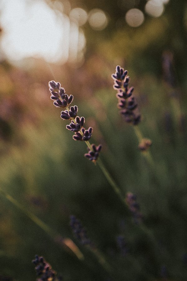 Holz-Schatulle Impression 4