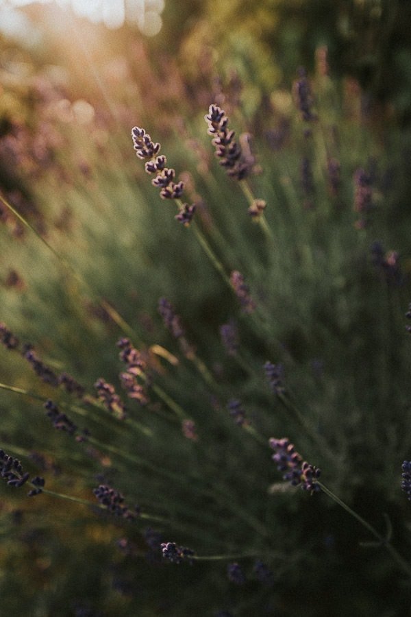 Wooden keepsake box impression 5