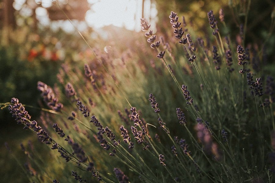 Wooden keepsake box impression 6