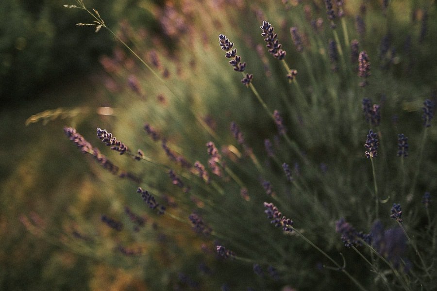 Holz-Schatulle Impression 7