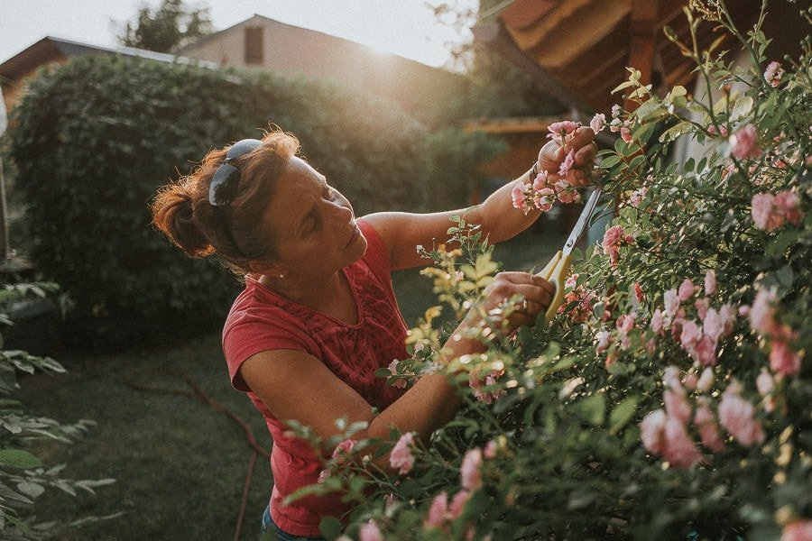 Holz-Schatulle Impression 10